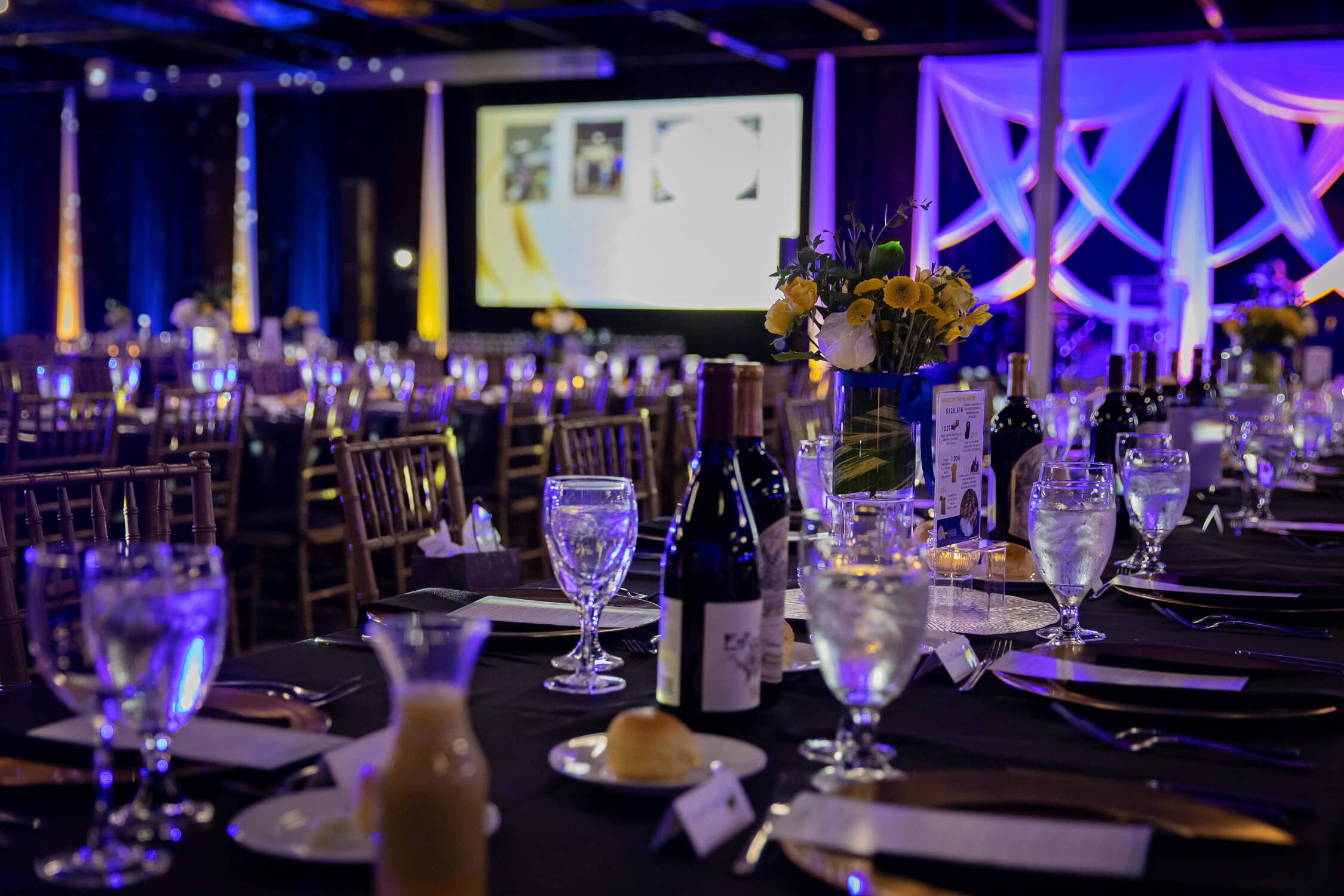 gala_2025 (7)